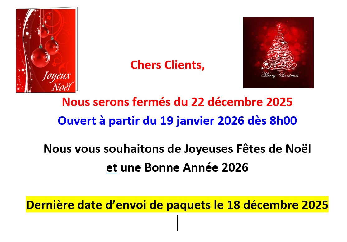 Bonnes fêtes de fin d'année